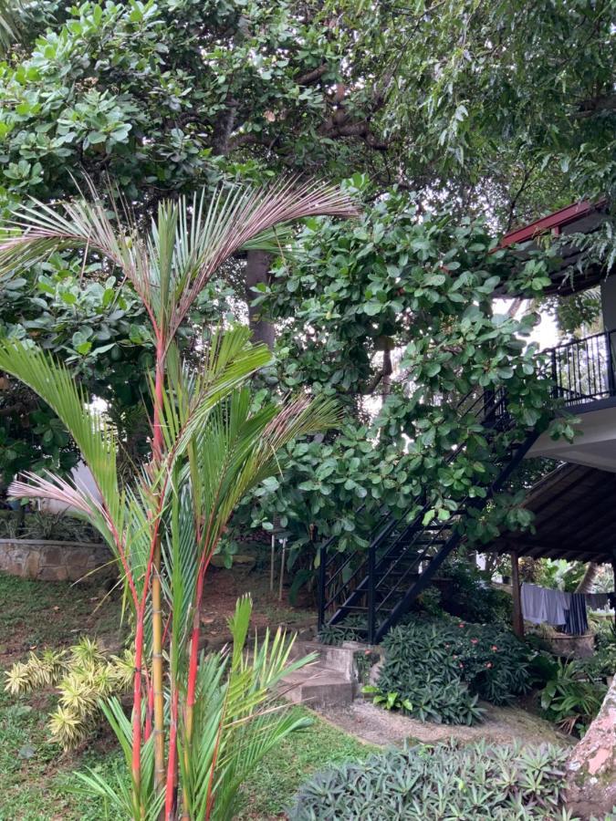 Lali Villa & Fruit Garden Galle Exterior foto