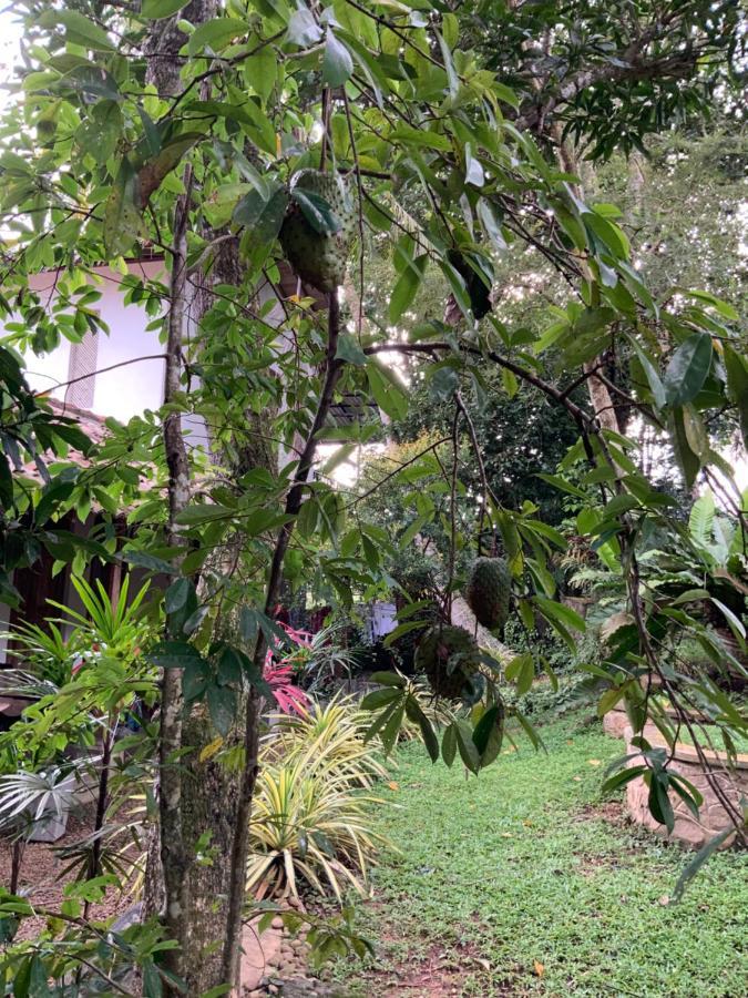 Lali Villa & Fruit Garden Galle Exterior foto