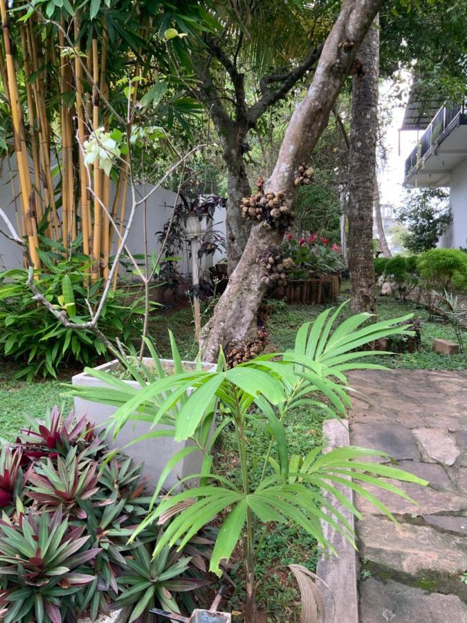 Lali Villa & Fruit Garden Galle Exterior foto
