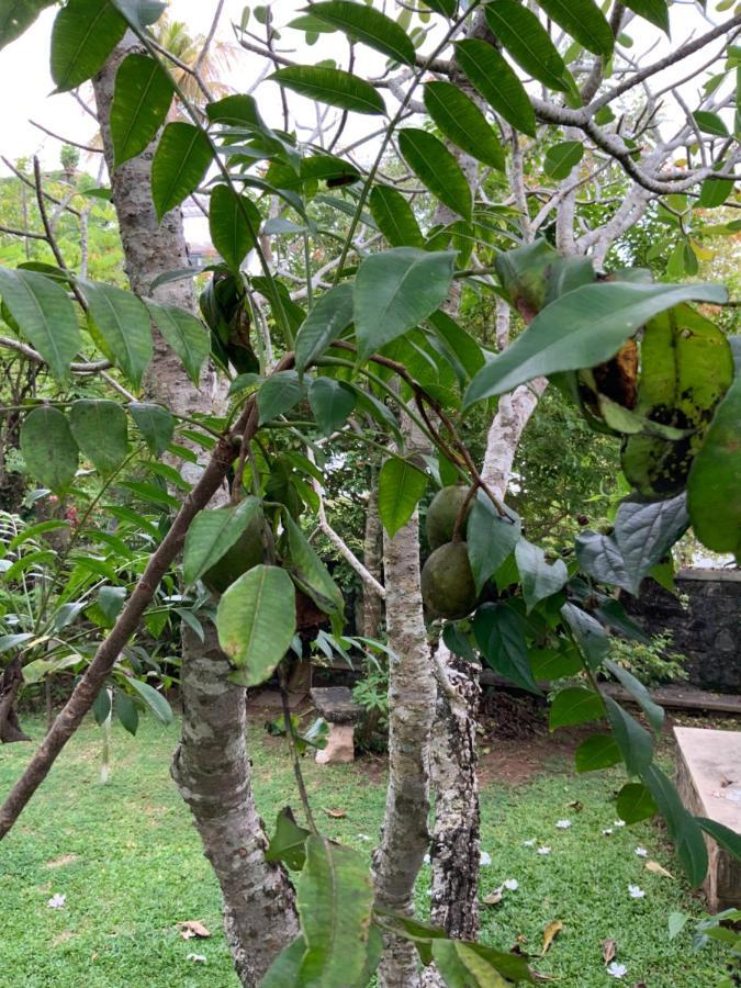 Lali Villa & Fruit Garden Galle Exterior foto
