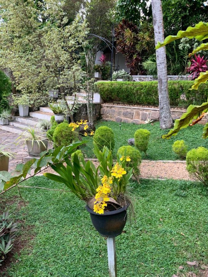 Lali Villa & Fruit Garden Galle Exterior foto