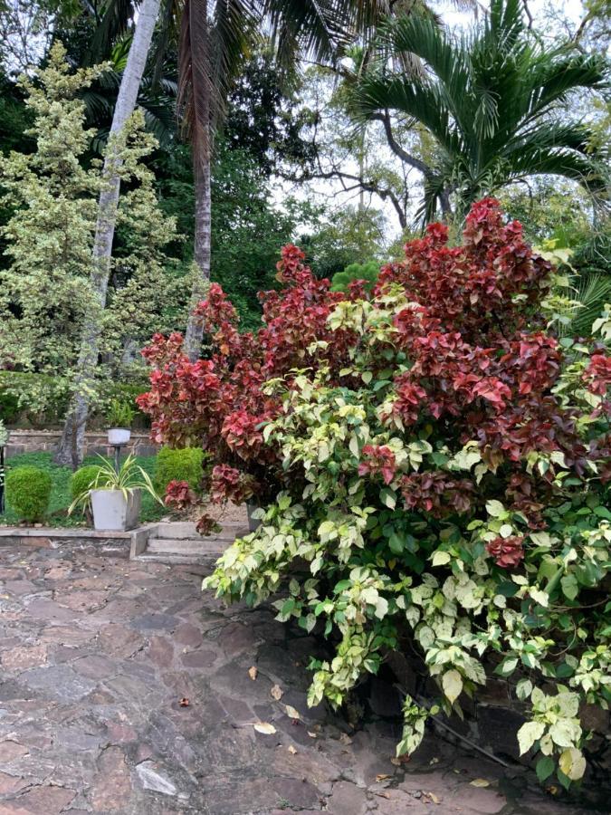 Lali Villa & Fruit Garden Galle Exterior foto
