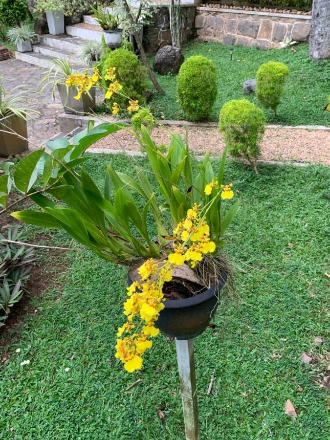 Lali Villa & Fruit Garden Galle Exterior foto