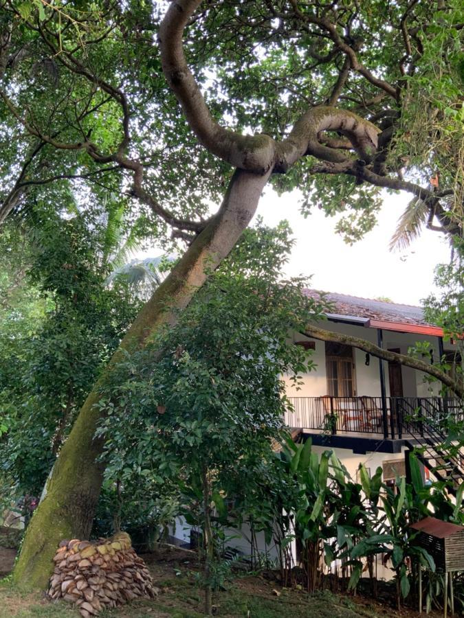 Lali Villa & Fruit Garden Galle Exterior foto