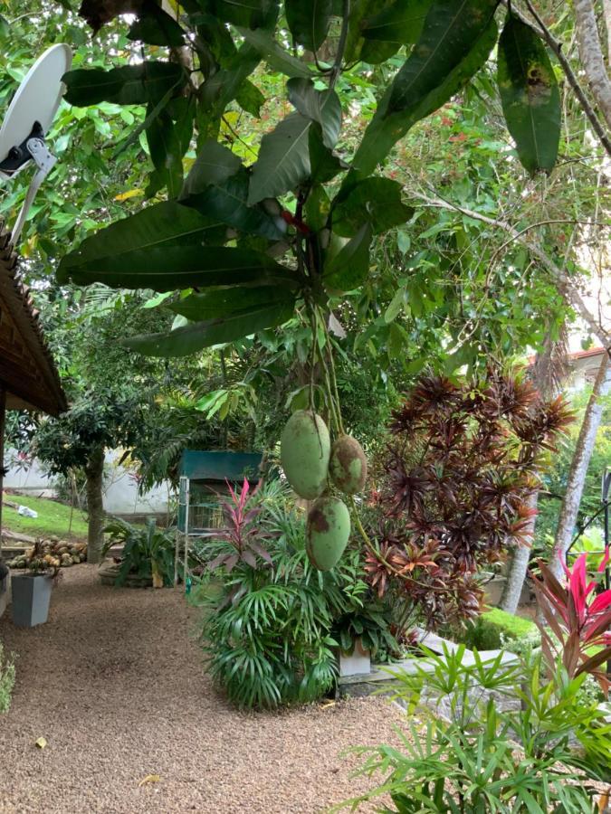 Lali Villa & Fruit Garden Galle Exterior foto